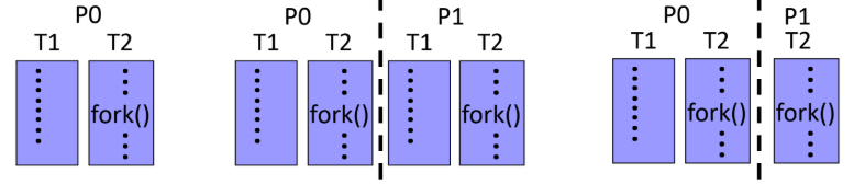 different versions of fork